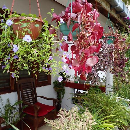 Gem Villa فيليغاما المظهر الخارجي الصورة