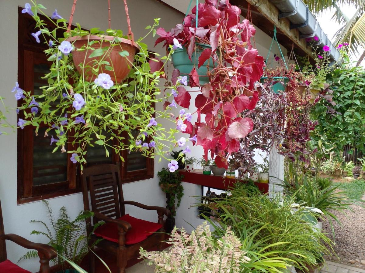Gem Villa فيليغاما المظهر الخارجي الصورة